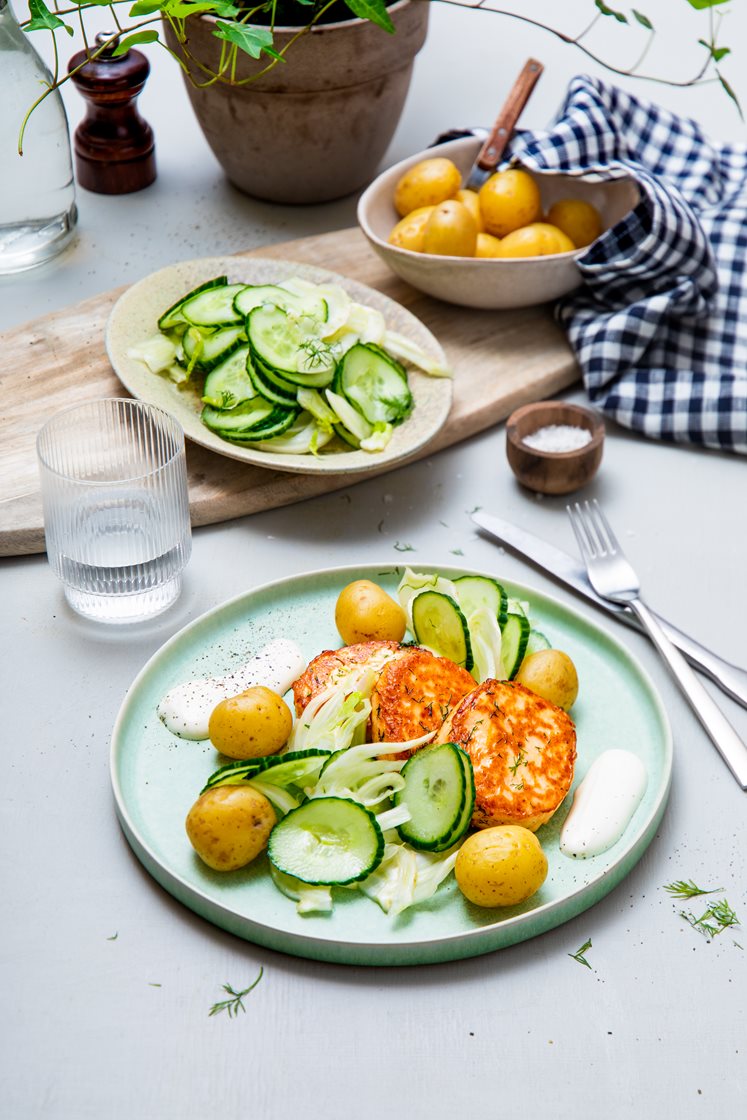 Laksefrikadeller med agurk- og fennikelsalat og pepperrotdressing
