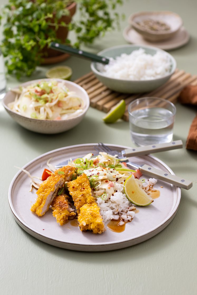 Japansk kyllingschnitzel med syrlig kålsalat, ris og teriyakisaus