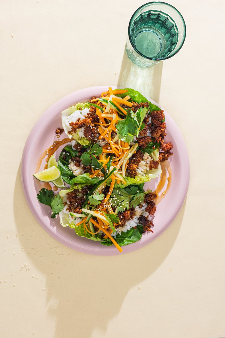 Bulgogi med vegetardeig i hjertesalat med friske grønnsaker, koriander og ris