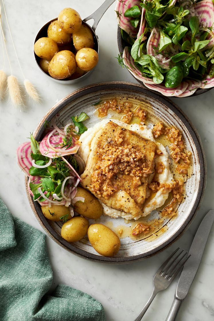 Stekt kolja med rotselleripuré, brynt smör- och hasselnötsdressing, polkabetor och dill