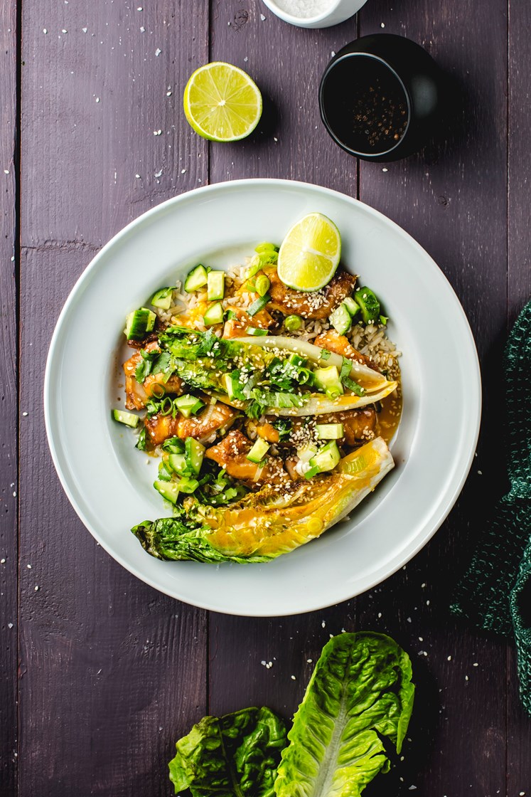 Soyastekt lyr med mangodressing, ris og stekt hjertesalat med agurk- og vårløksalat