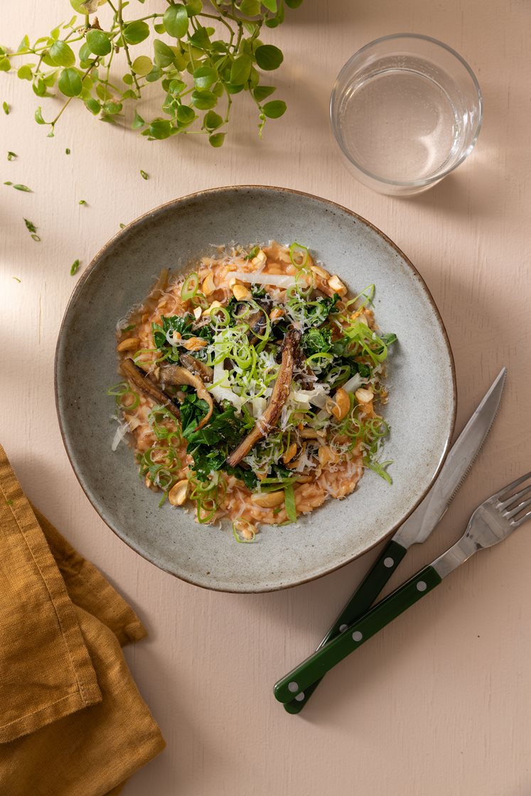 Cremet gochujang-risotto med sauté af svampe og grønkål