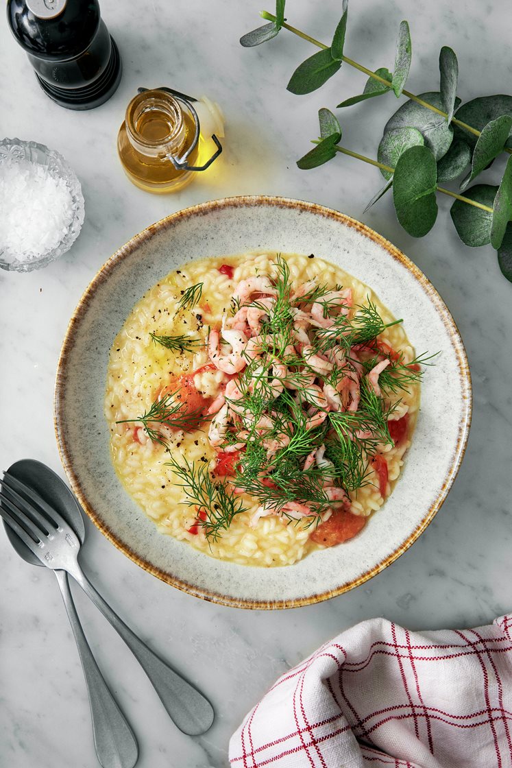 Krämig parmesanrisotto med bakade tomater och dillmarinerade räkor