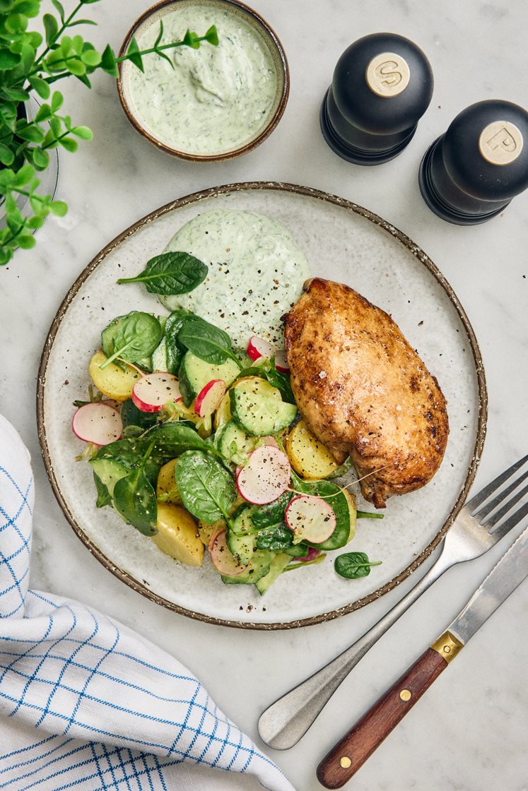 Stegt kyllingebryst med kold ramsløgssauce og lun kartoffelsalat