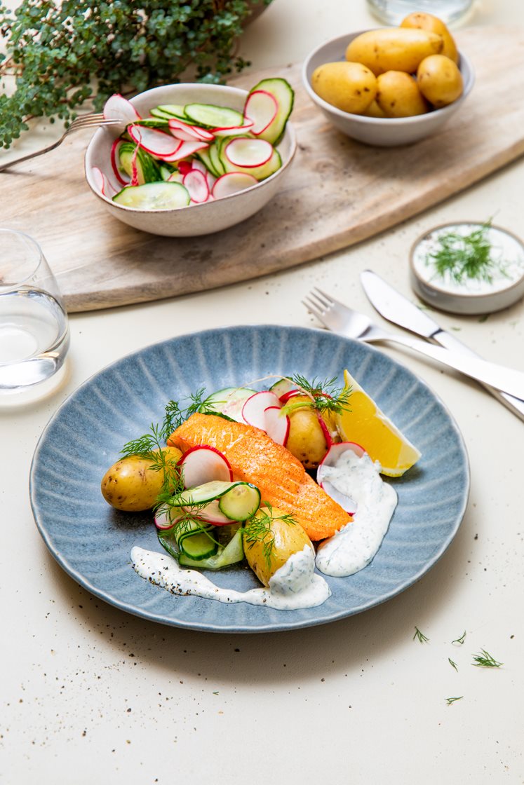 Laks med reddik- og agurksalat, rømmedressing og kokte poteter