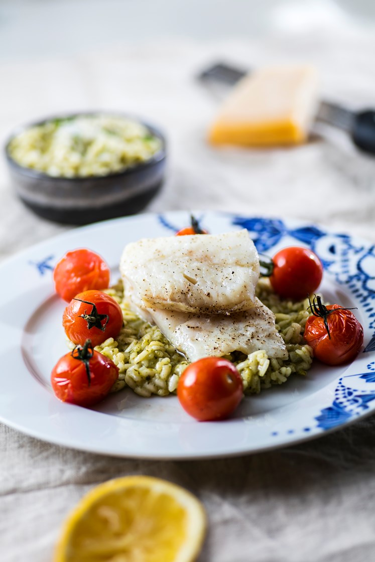 Ovnsbakt torsk med pestorisotto og ovnsbakte cherrytomater