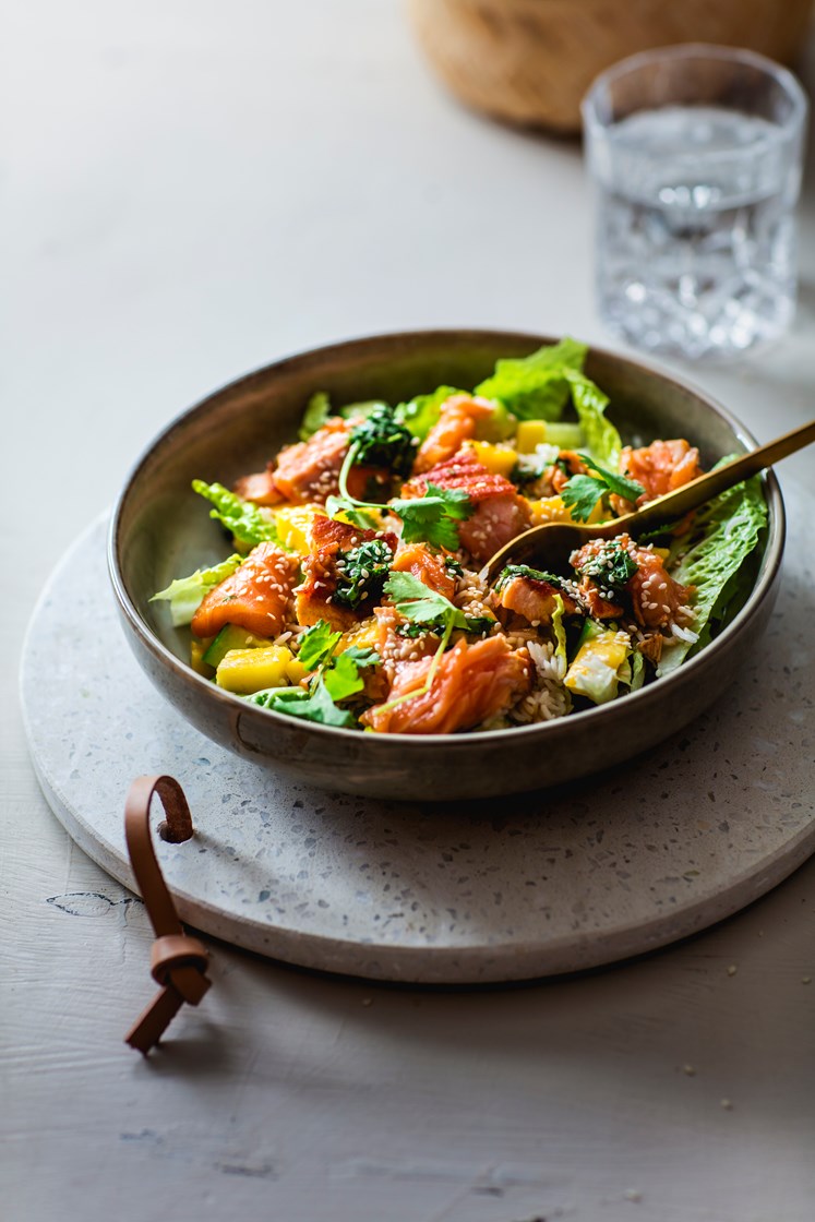 Tataki av laks med ris, koriander og agurk- og mangosalat